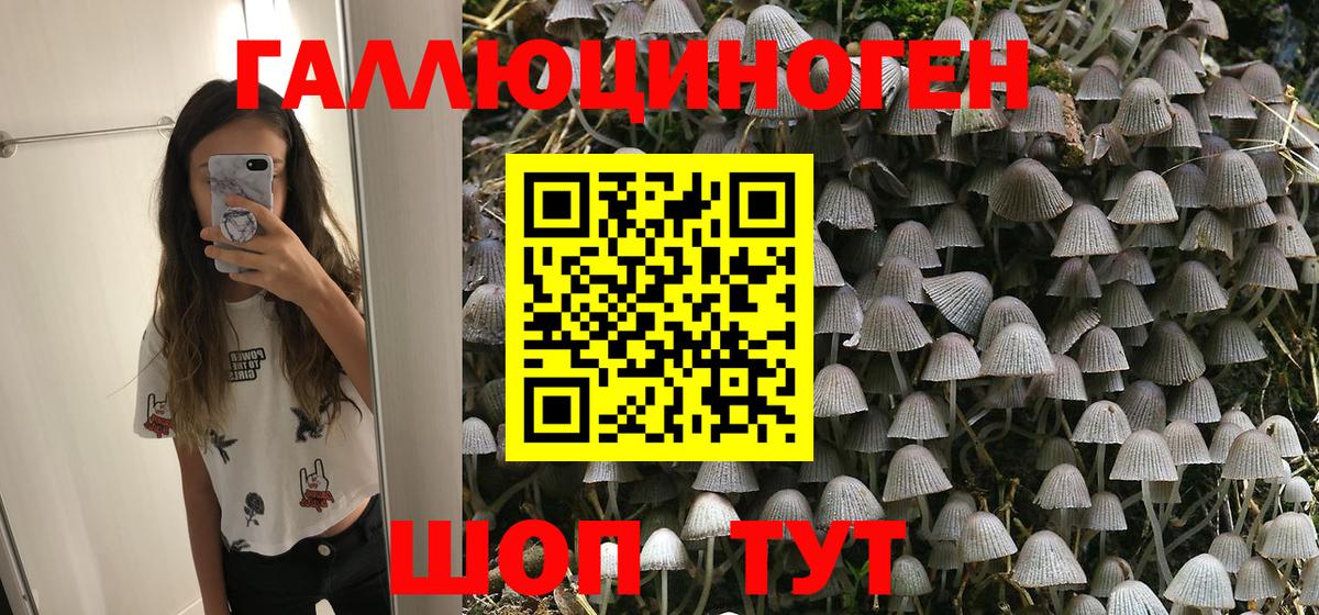 Галлюциногенные грибы Magic Shrooms  Псилоцибиновые грибы Magic Shrooms  Архангельск  дарнет шоп  Вход с VPN 